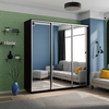 Шкаф-купе Экспресс 3-х дверный (зеркало)